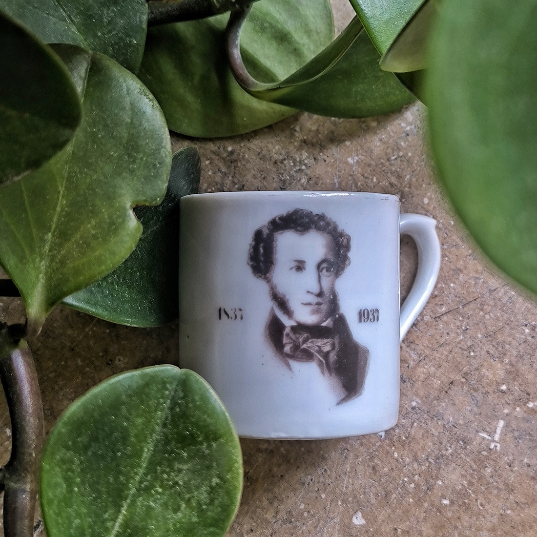 IMG 20260210 14150722