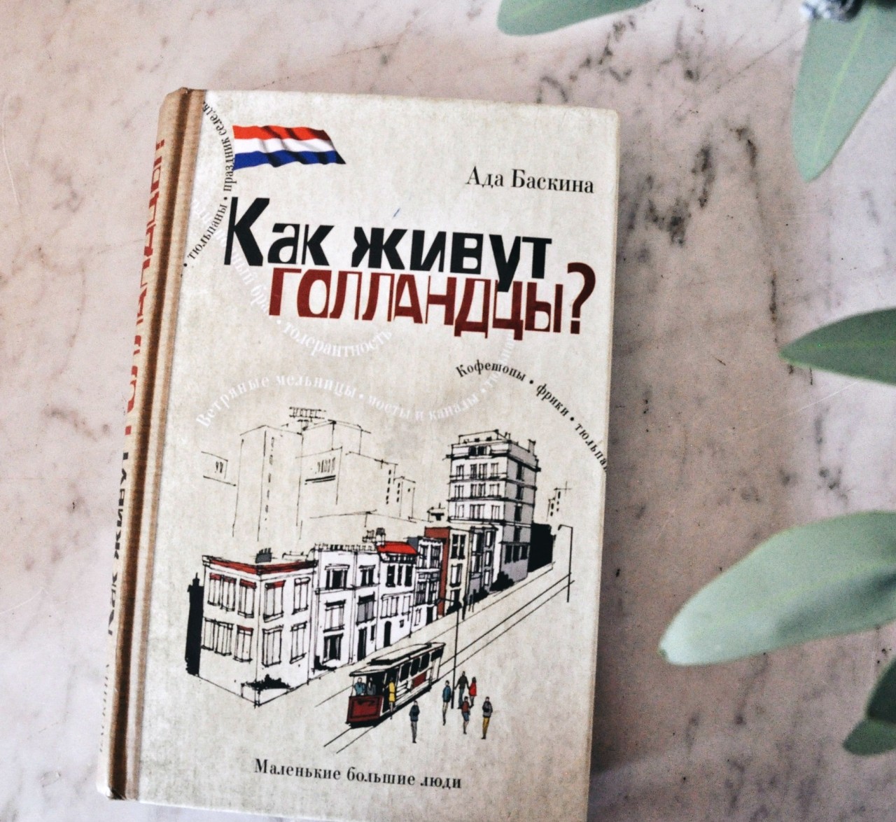 Огромный мир открыт и манит: книгипро путешествия в другие страны
